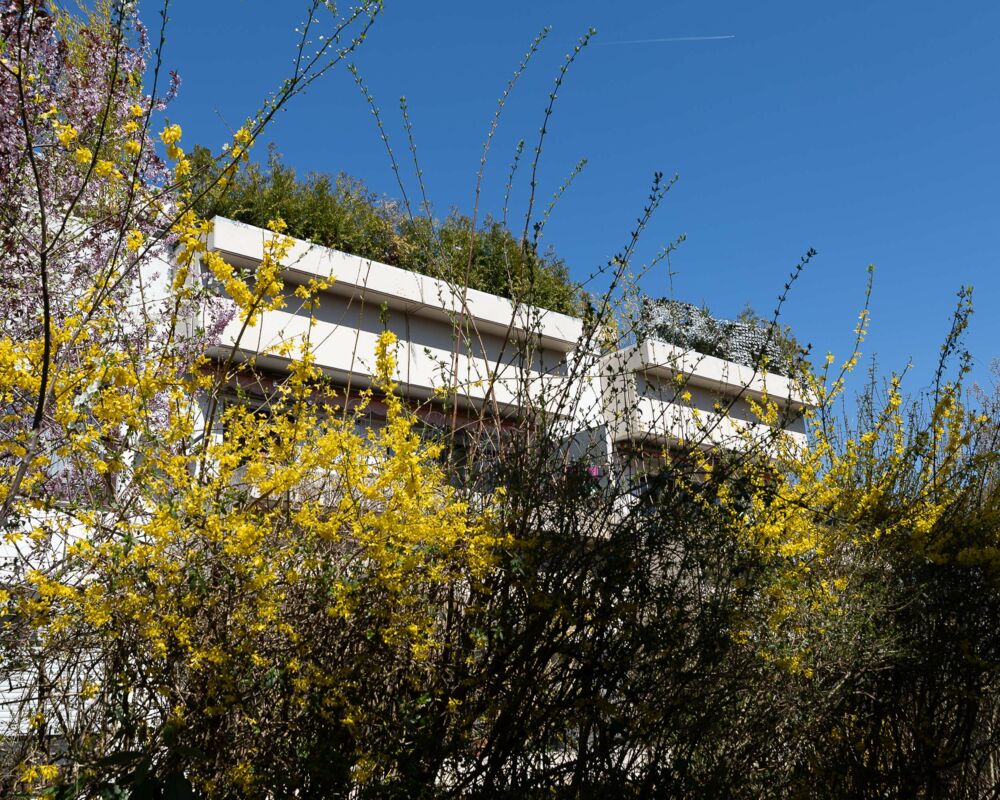 Ansicht Südseite