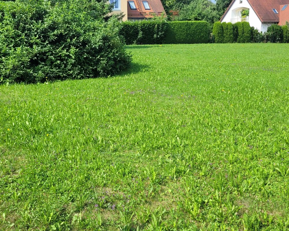 Musterfoto