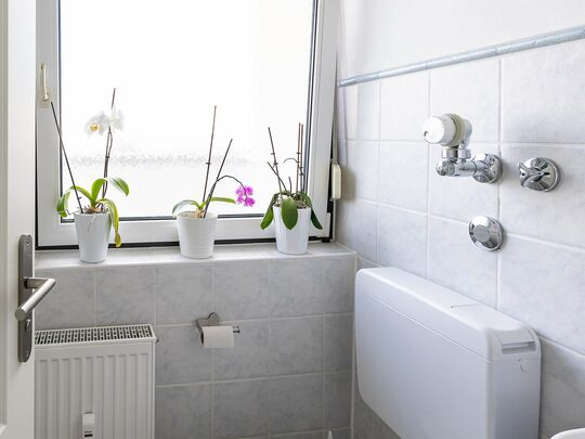 Gäste-WC