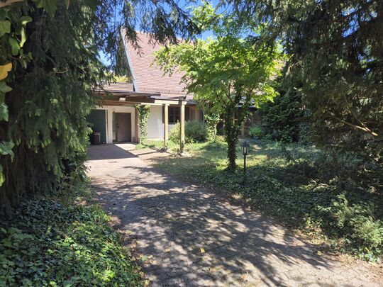 Ansicht neu 2